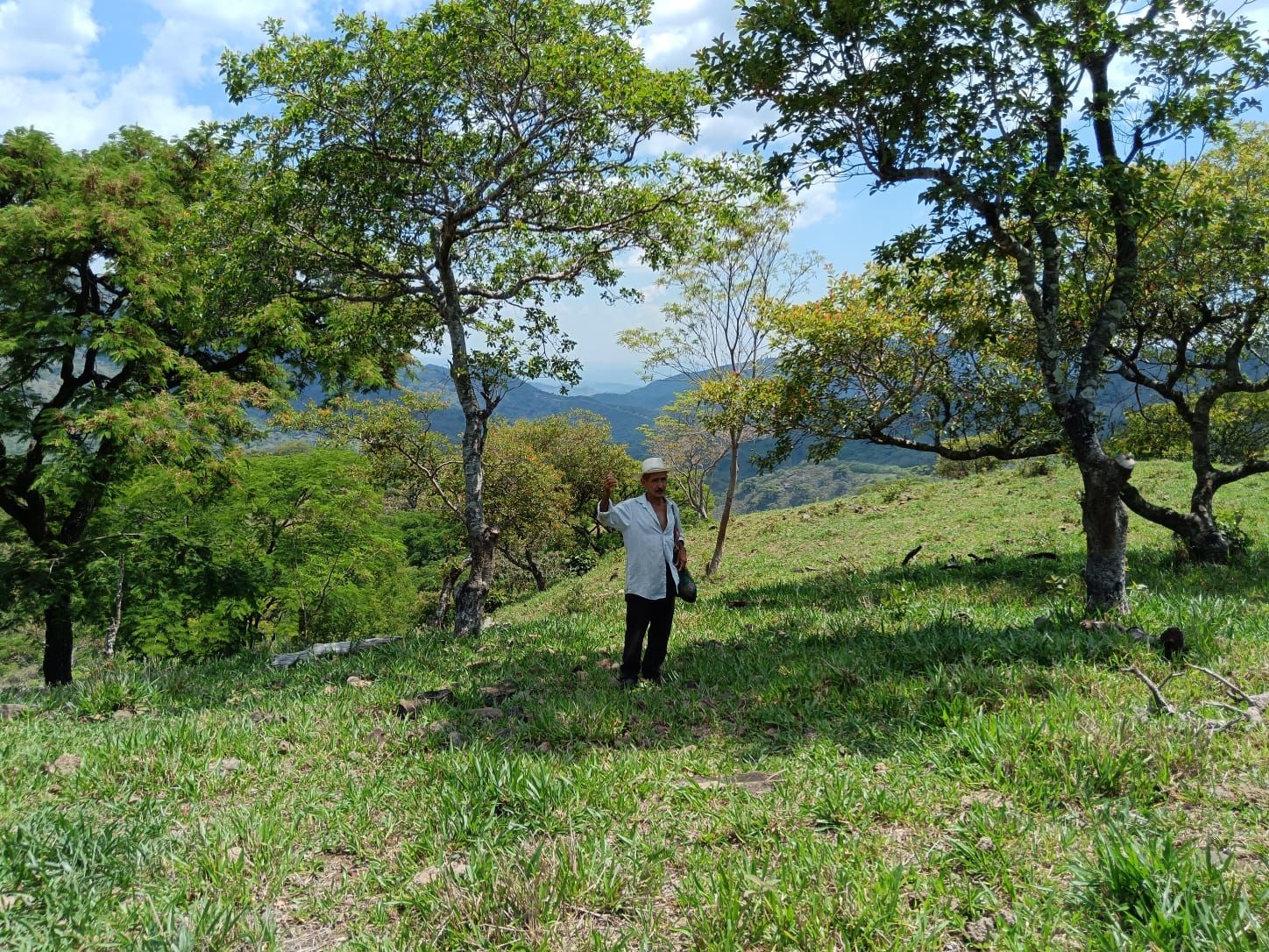 Slide image