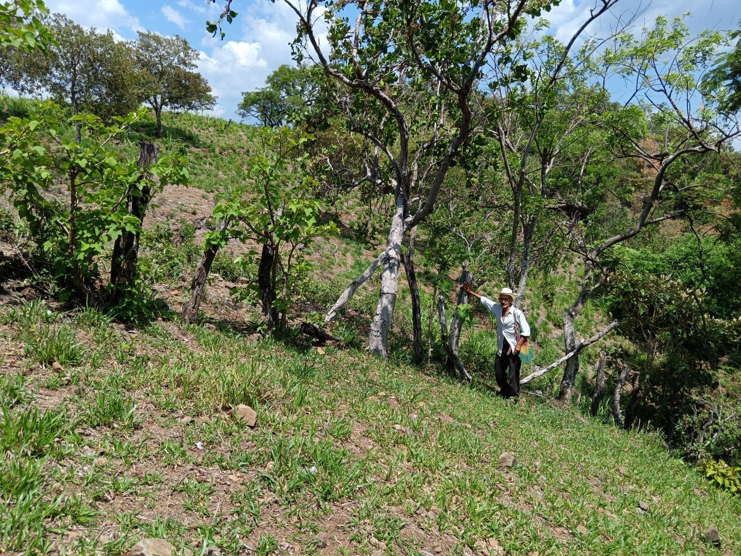 Slide image