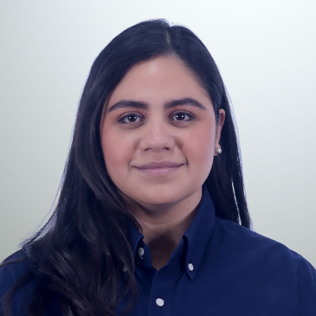 Equipo de la empresa